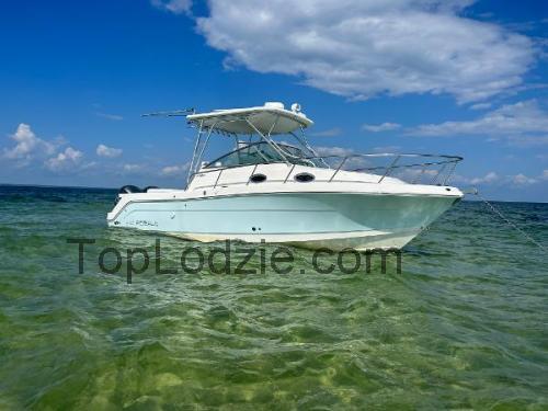 Robalo R305 opinie i specyfikacja